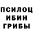 Псилоцибиновые грибы MAGIC MUSHROOMS Maxim Tario