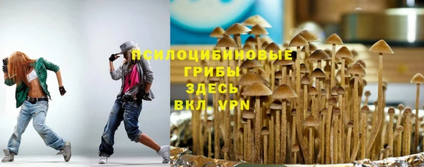 а пвп мука Аркадак